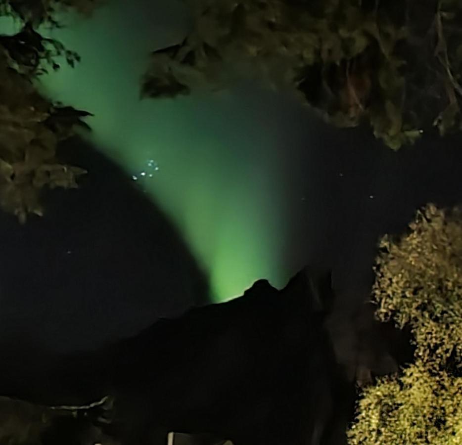 Innholdsrik Og Koselig Leilighet I Svolvaer Lofoten Exterior foto